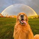 coffeeismymiddlename avatar