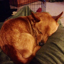 coffeestainedtshirt avatar