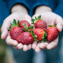 cogai-thichchaytron avatar