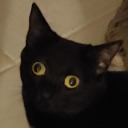 colbycheeseslice avatar