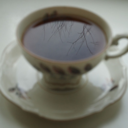 cold-tea-blog avatar