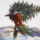 coldwintersnight avatar