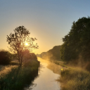 collateralcuddle avatar