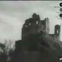 collective-me avatar