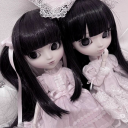 collectivelyrabiddogs avatar