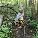 collidewithsanity avatar