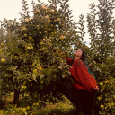 collidewiththelies avatar