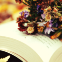 colllisioncourse avatar