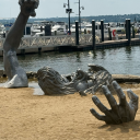 colloquial-vignettes avatar