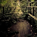 colonel-ressentiment avatar