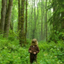 colonelpudding avatar