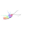 colorfulcockroach avatar