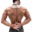 colorfulcrowntyphoon avatar