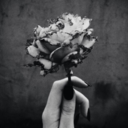 colorlessfilter avatar