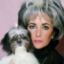 comachumbinho avatar