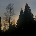 comeonthinknowfloyd avatar