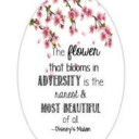 comequandofioripiove avatar