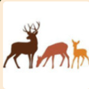 coming-xf-age avatar