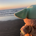 commanderdara avatar