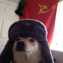 communistcoconut avatar