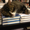 communitybookstore avatar