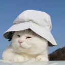 concentrated-calum avatar