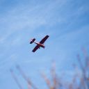 confessional-dashboard avatar