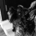 confessionday avatar