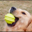 confessions-of-a-cellist avatar