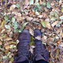 confessionsofacastmember avatar