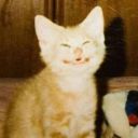 confusingwizard avatar