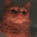 conindiundrum avatar