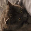 conniptionnymph avatar