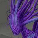 consciousgordiacea avatar