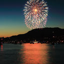 conspiracy-chicken avatar