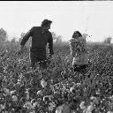 conspiracycowboy avatar