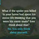 constantly-overthinking-it avatar