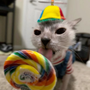 constantlyduck avatar