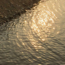 constxllation avatar