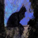 contemplator1 avatar