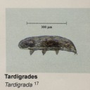 continuousrun avatar