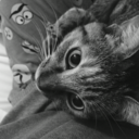 contraryroads avatar