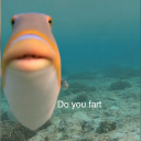 coochiedust69 avatar