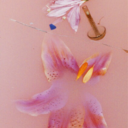 cool-times-two avatar