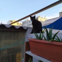 coolbonewreckerstuff avatar