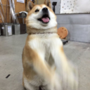 coolcoolokaybye avatar