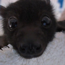 cooldudesthings avatar