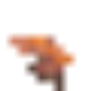 cooltrainergorps avatar