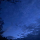 coralinesdream avatar