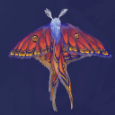 coredetenebr1s avatar